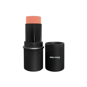 Blush Stick - Modish