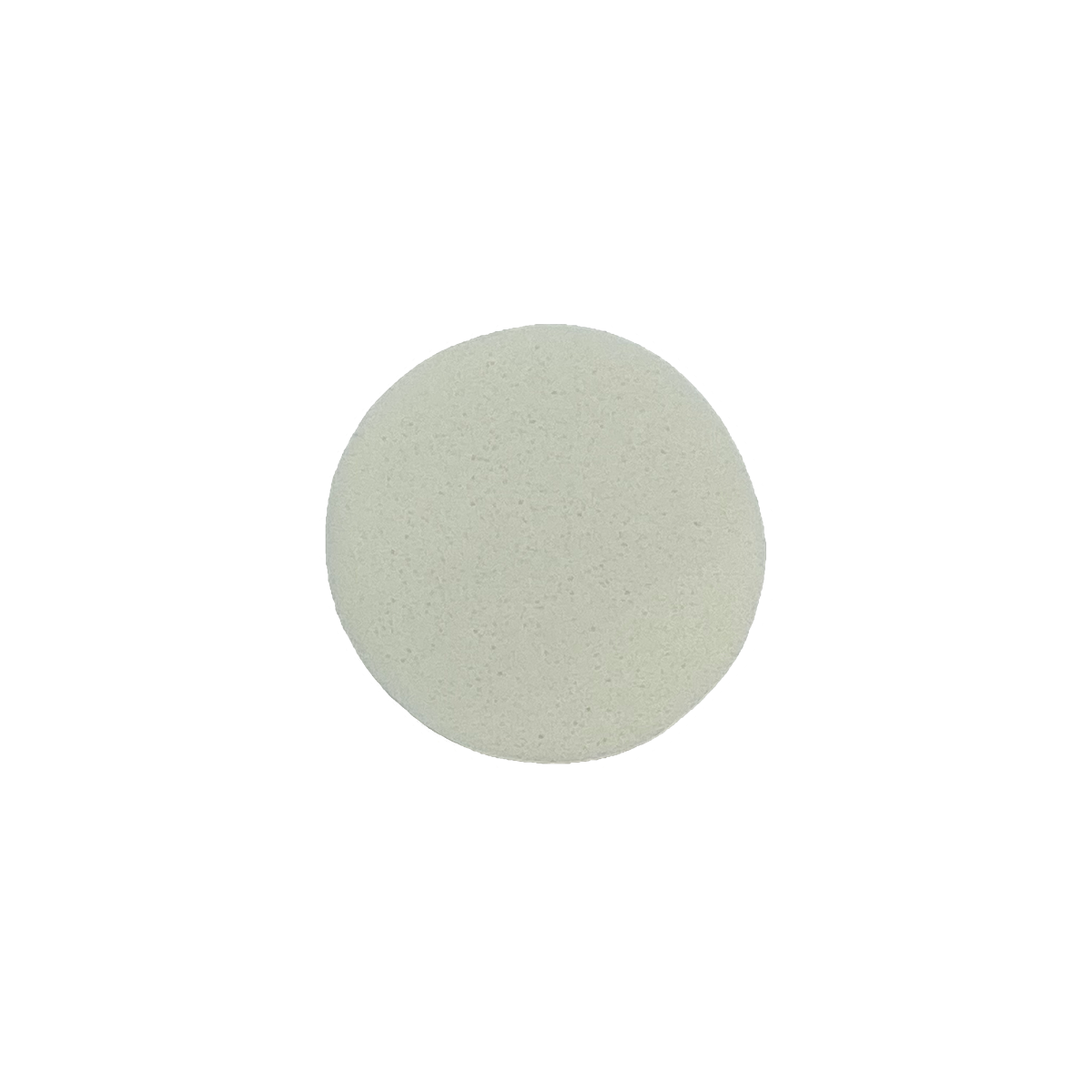 Éponge - Visage - PVA